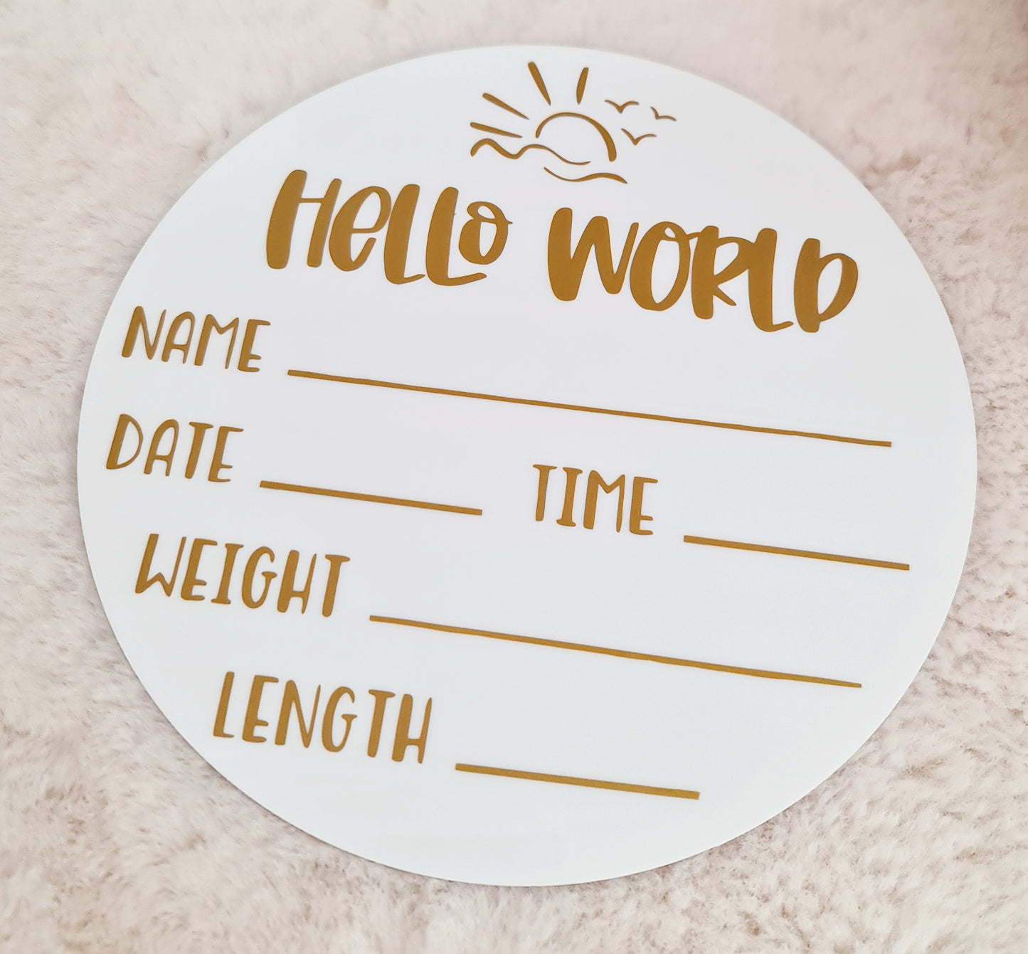 "Hello world" baby announcement plaque