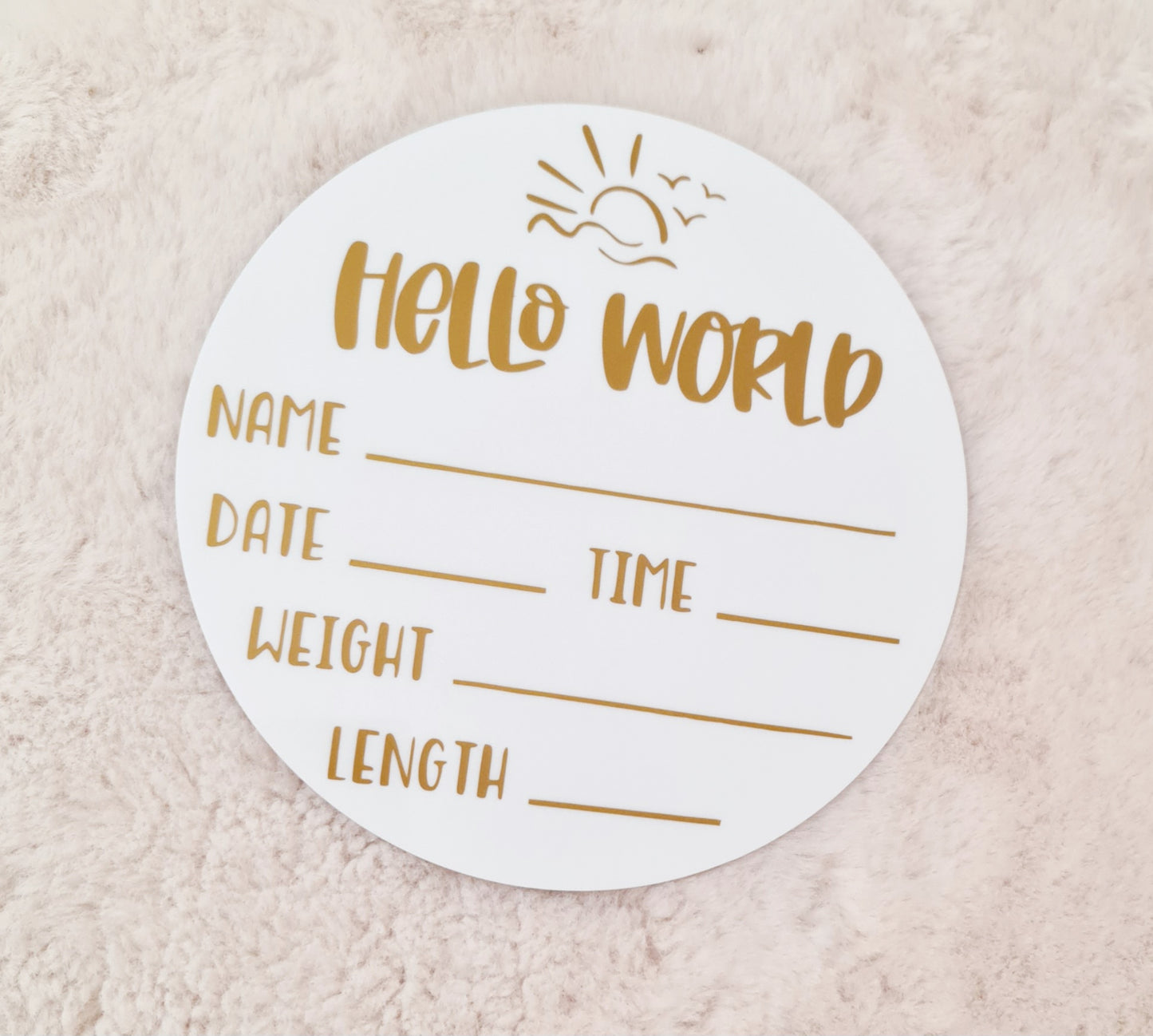 "Hello world" baby announcement plaque