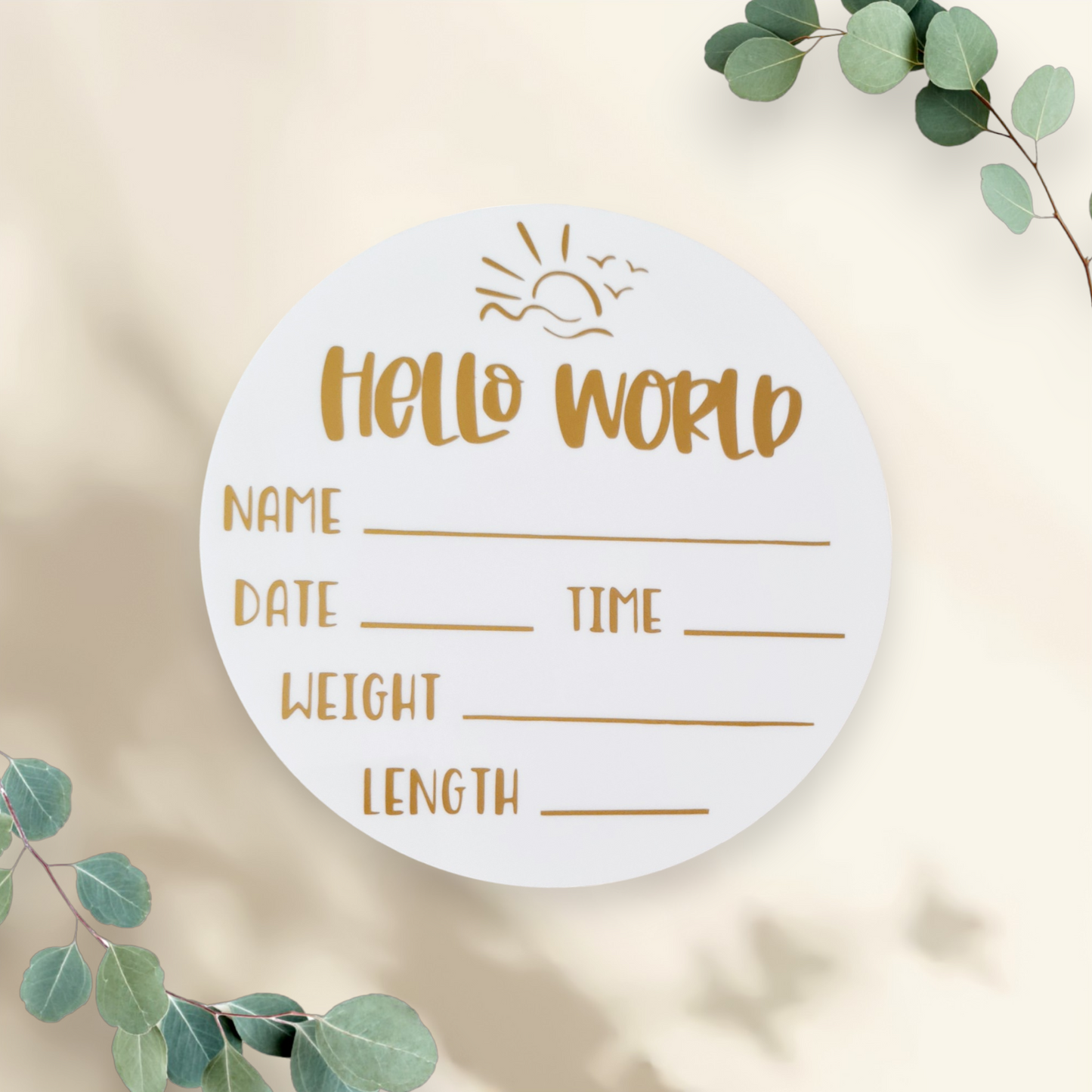 "Hello world" baby announcement plaque