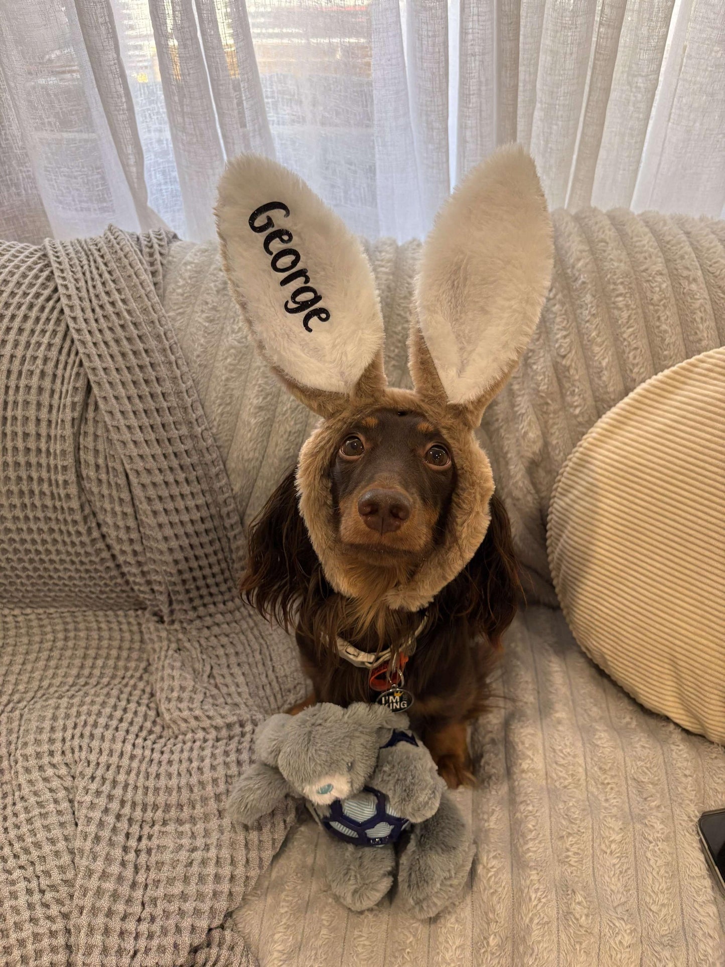 Personalised Easter Bunny Ears | Custom Name Bunny Headband | Easter Basket Filler | Kids Easter Gift