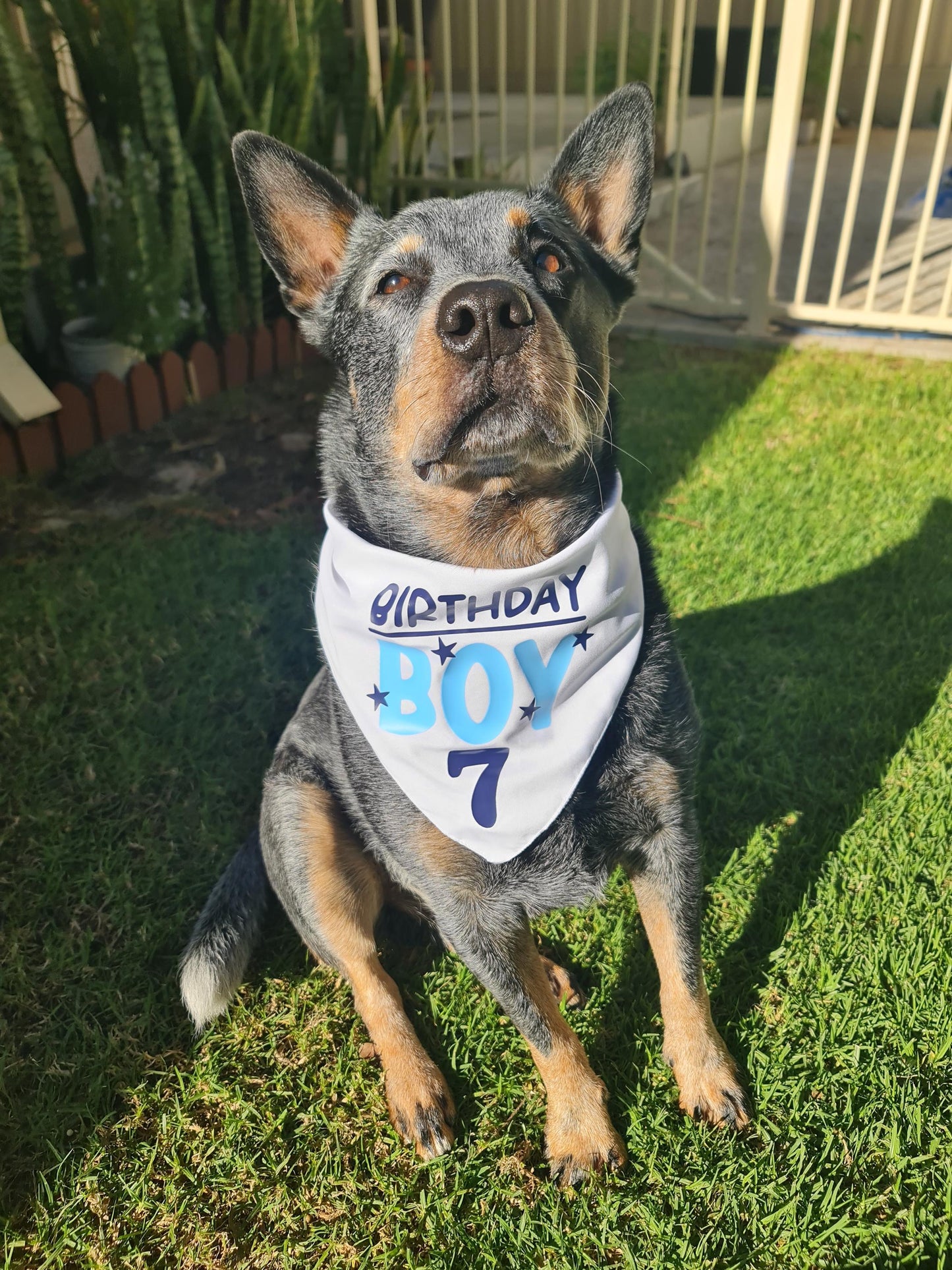 Dog Birthday Bandana | Personalised Dog Birthday Bandana | Custom Pet Birthday Outfit | Birthday Dog Scarf | Puppy Birthday Party Accessory
