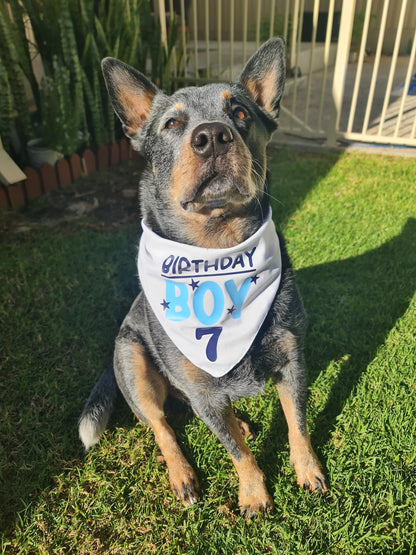 Dog Birthday Bandana | Personalised Dog Birthday Bandana | Custom Pet Birthday Outfit | Birthday Dog Scarf | Puppy Birthday Party Accessory